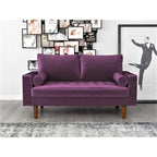 US Pride Lopez mid-century 2-zitsbank