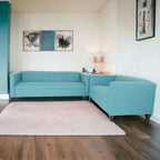 Współczesny zestaw sof Coast to Coast Sofas: sofa dwuosobowa i sofa, poliester, nylon, rama z litego drewna, tapicerowane