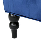 Leora Modern Glam Tufted Velvet Wingback Loveseat by Christopher Knight Home